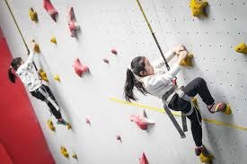 百家乐为什么不能追（为何在百家乐中不宜追注）