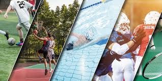 贺希宁在招笑这个赛道已经越走越远了，估计这会人设已经改不回去了